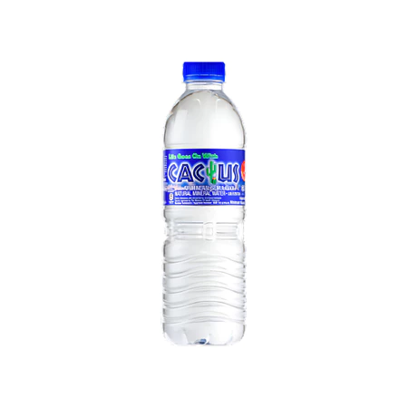 my-11134207-820l6-mhabi89998g8cb@resize_w450_nl Cactus Mineral Water 500ml Carton
